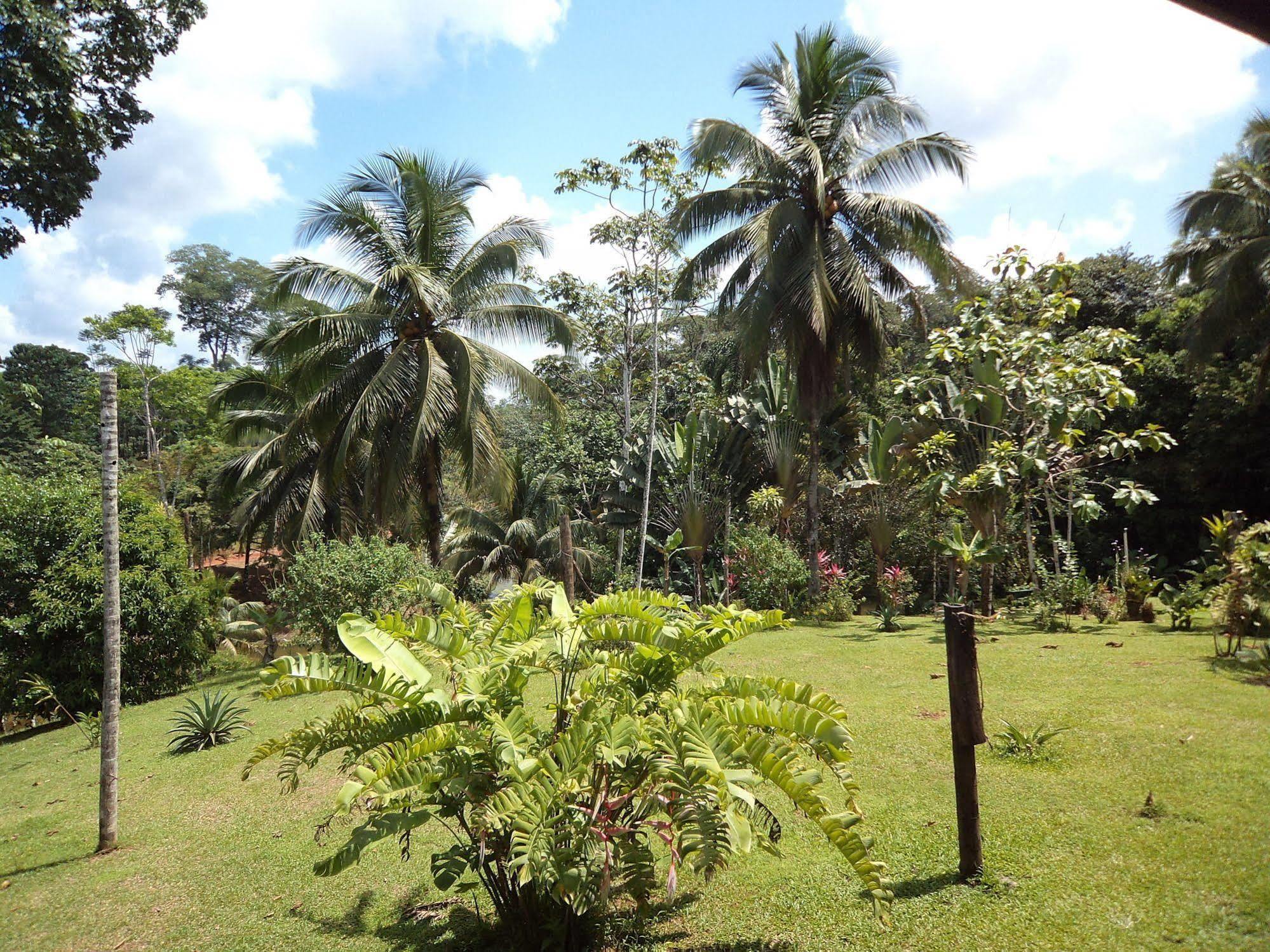 La Laguna del Lagarto Lodge Pital  Exterior foto