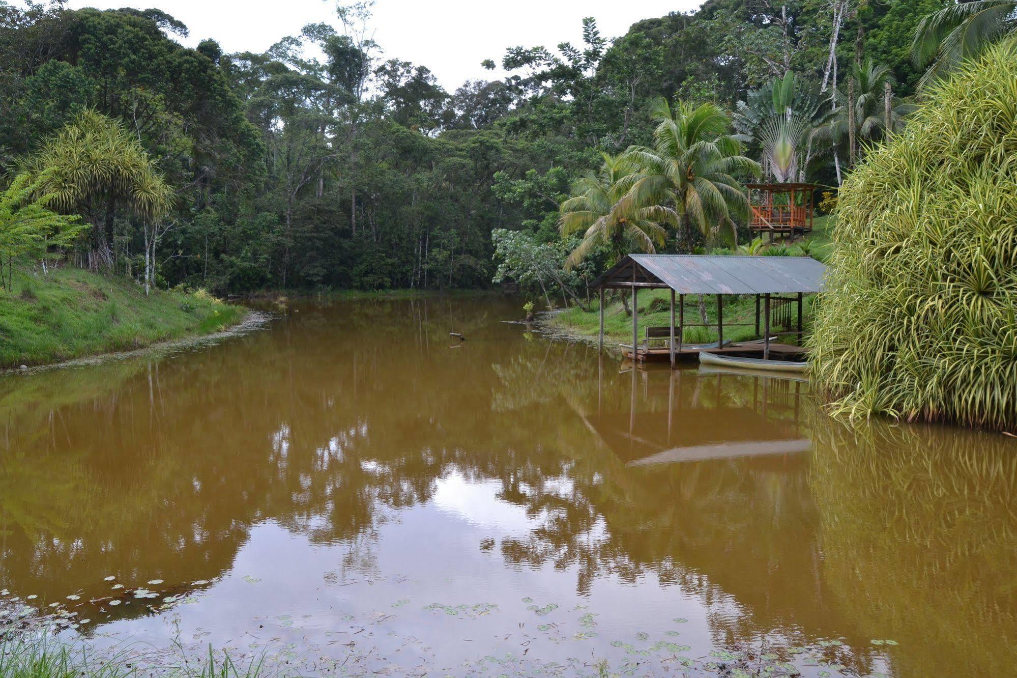 La Laguna del Lagarto Lodge Pital  Exterior foto
