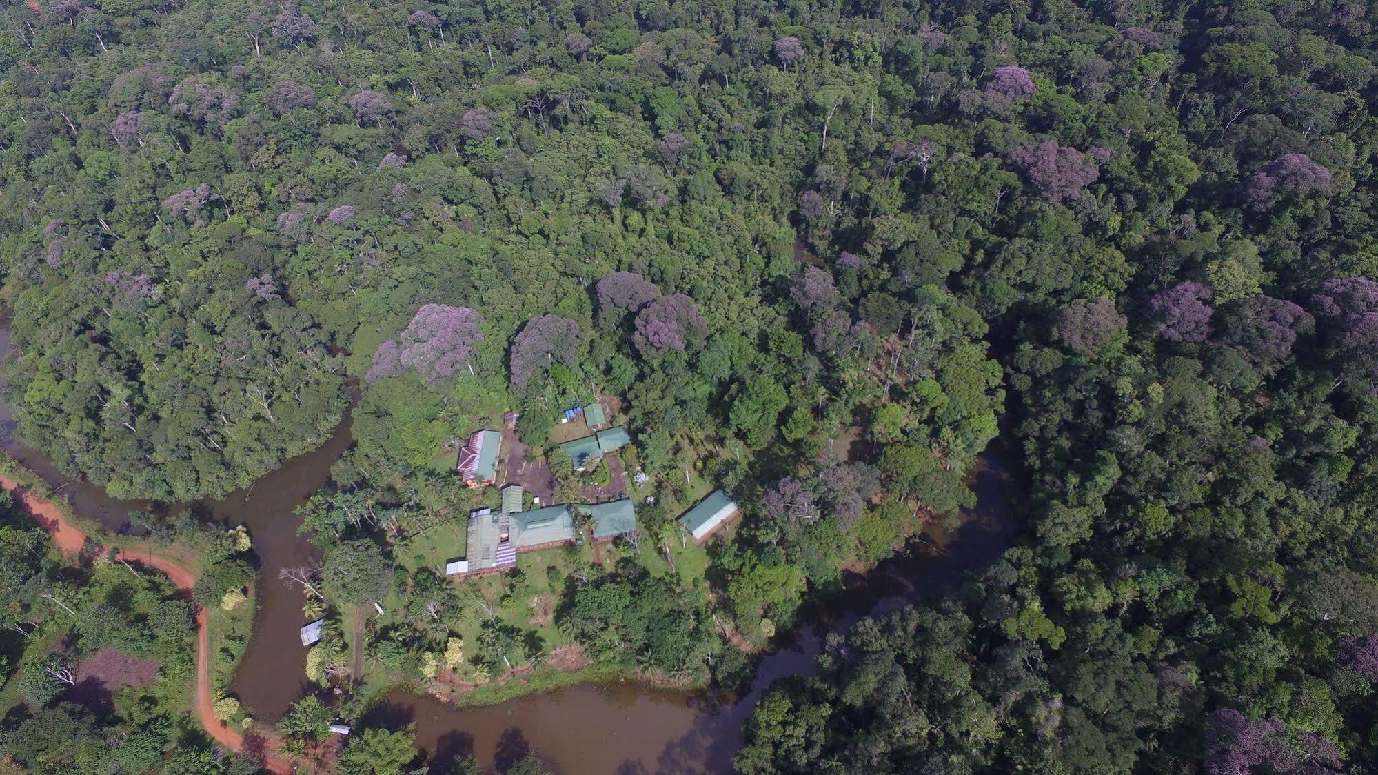La Laguna del Lagarto Lodge Pital  Exterior foto