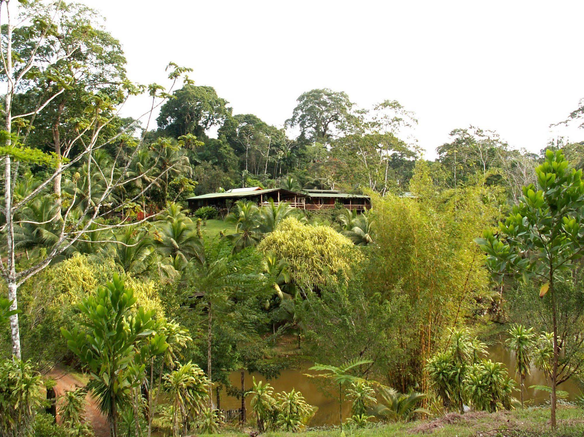 La Laguna del Lagarto Lodge Pital  Exterior foto